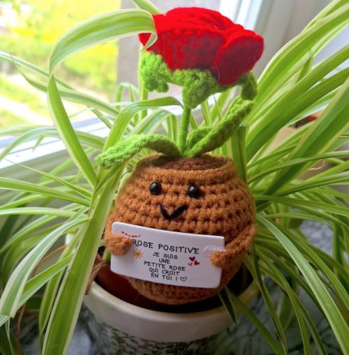 Rose positive rouge – Objet déco amour & good vibes - Mycrazystuff.com