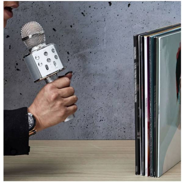 Micro Karaoké – Microphone portable fun & festif - Mycrazystuff.com