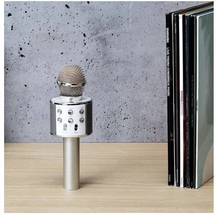 Micro Karaoké – Microphone portable fun & festif - Mycrazystuff.com