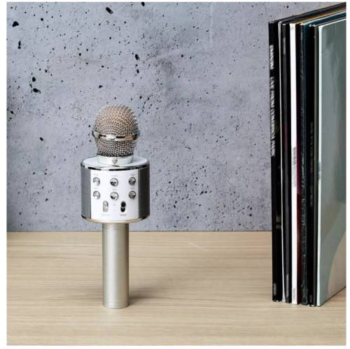 Micro Karaoké – Microphone portable fun & festif - Mycrazystuff.com