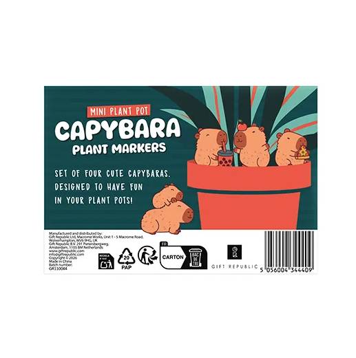 Mini Capybara Plant Pot Markers – Marqueurs de pots rigolos - mycrazystuff.com