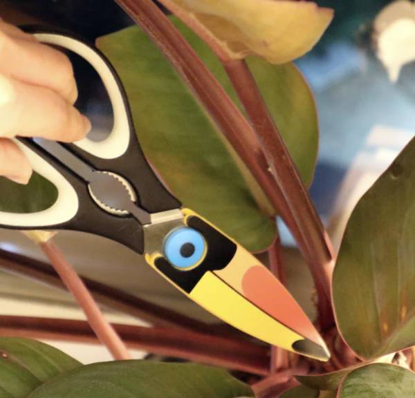 Ciseaux de cuisine Toucan – Kikkerland - Mycrazystuff