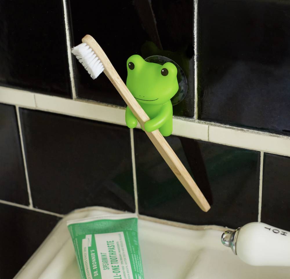Porte-brosse à dents grenouille – Kikkerland