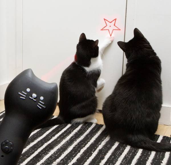 Laser rechargeable pour chat Kiko – Kikkerland