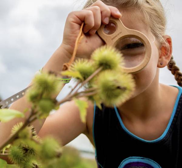 Loupe double Huckleberry – Kikkerland