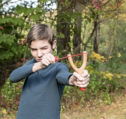 Lance-pierre Huckleberry – Kikkerland