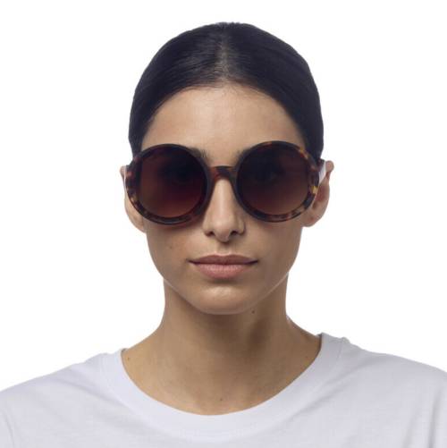 Lunettes de soleil Monica Classic Havana – Okkia