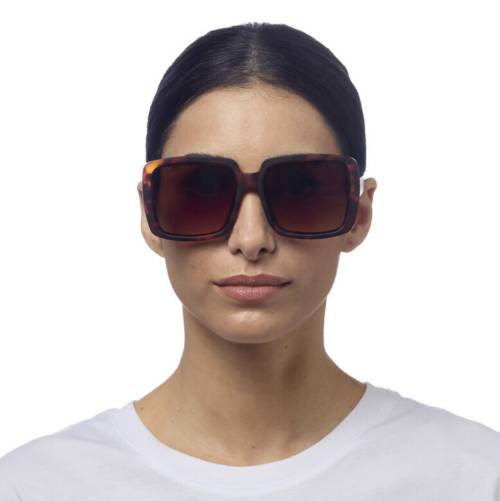 Lunettes de soleil Alessia Classic Havana – Okkia