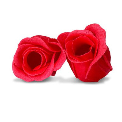 Boutons de roses pour le bain