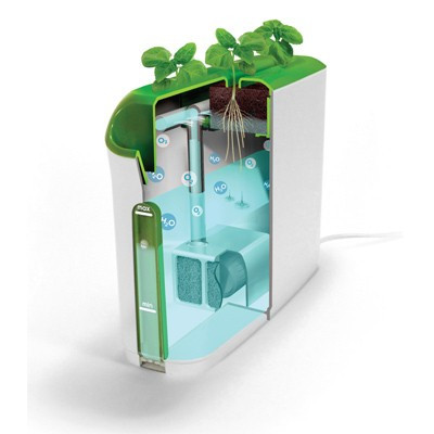 Incubateur végétal