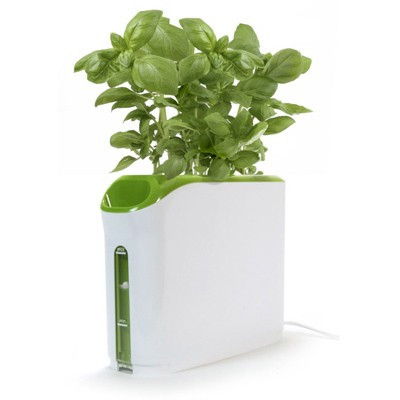 Incubateur végétal