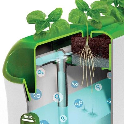 Incubateur végétal