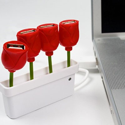 Hub Usb Tulipes