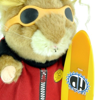 Marmotte surfeur