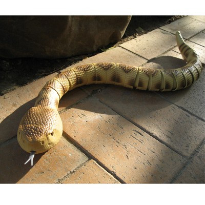 Terrible serpent crotale radiocommandé