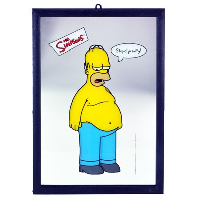Miroir Homer Simpsons Stupid Gravity