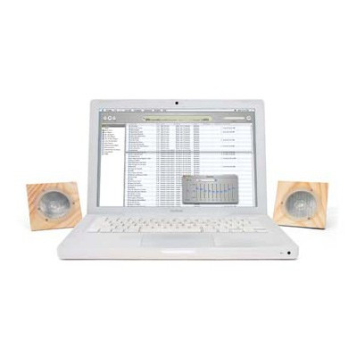 Haut-parleurs pliants imitation bois