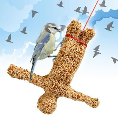 Mangeoire Saut à l'élastique