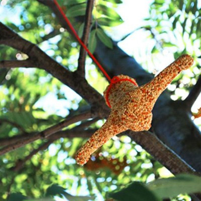 Mangeoire Saut à l'élastique