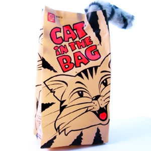 Vente Chat dans le sac