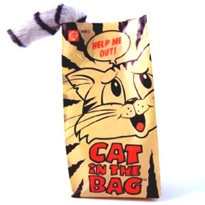 Photo Chat dans le sac