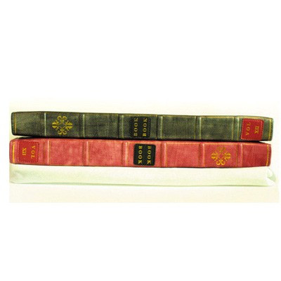 Etui laptop grimoire BookBook