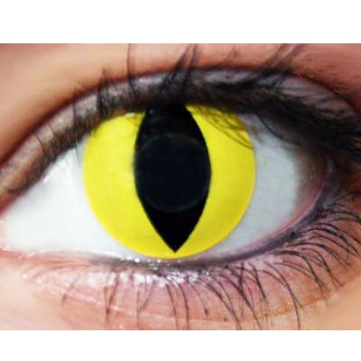 Lentilles de contact oeil de chat