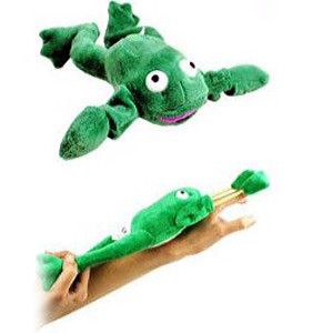 Photo Grenouille volante