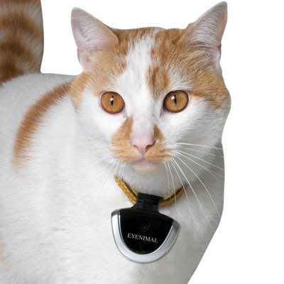 Caméra pour Chat - Meilleures Caméras avec ou sans collier pour chat