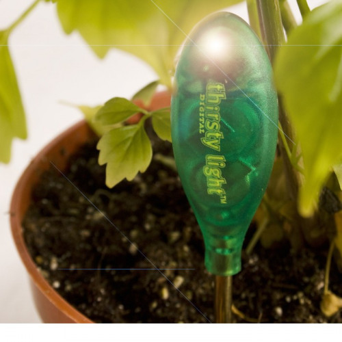 Lampe témoin d'arrosage des plantes