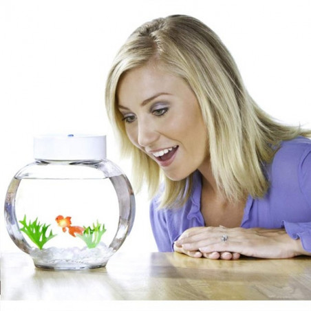 Aquarium magique Fincredibles