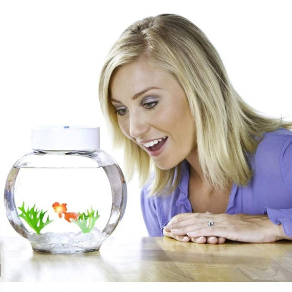 Aquarium magique Fincredibles