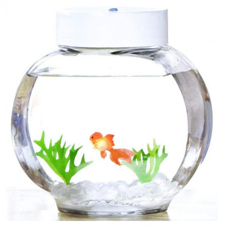 Aquarium magique poisson rouge