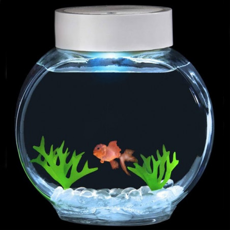 Aquarium magique poisson rouge