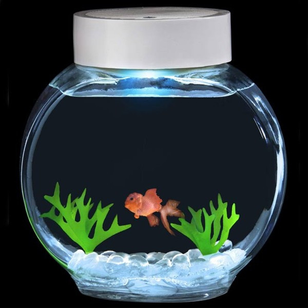 Aquarium magique poisson rouge