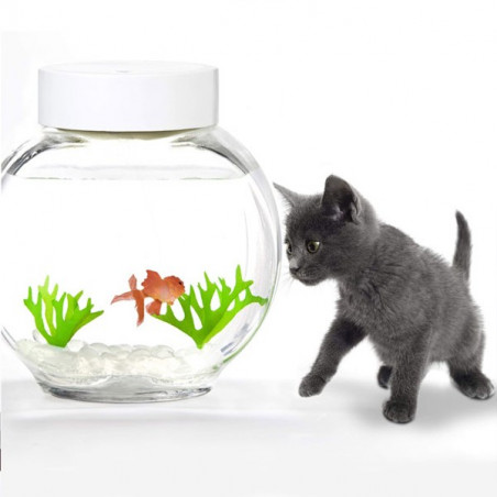 Aquarium magique poisson rouge