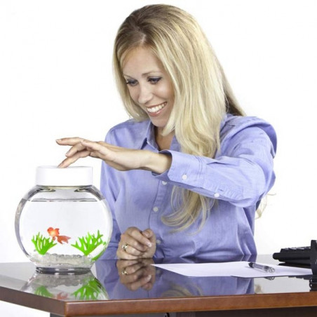 Aquarium magique poisson rouge