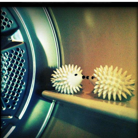 Boule de séchage hérisson x2