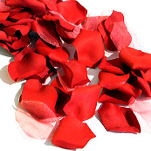 Photo Lit de roses