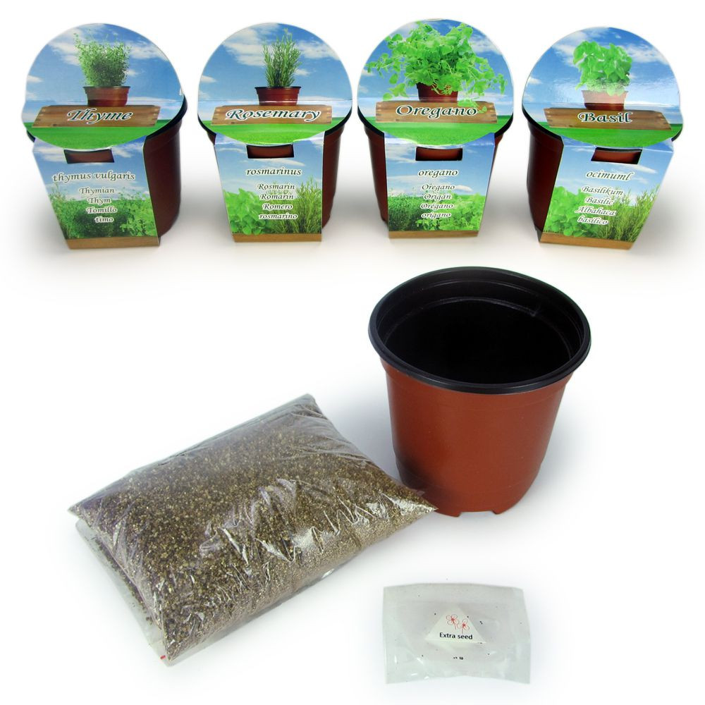 Kit herbes aromatiques à faire pousser - Plateau 6 plantes aromatiques