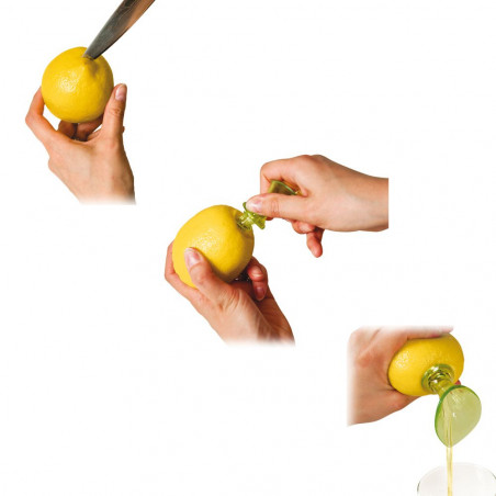 Extracteur de jus d'agrumes