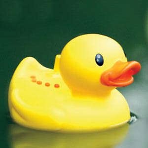 Photo Canard de bain radio