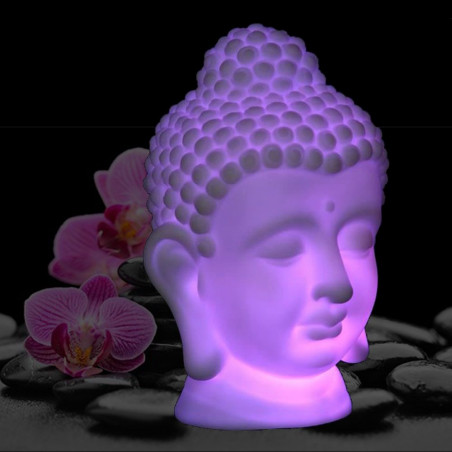 Tête de bouddha lumineuse