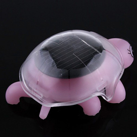 Petite tortue solaire