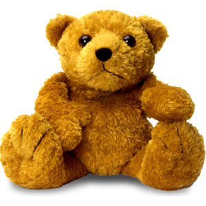 Photo Chaud Nounours