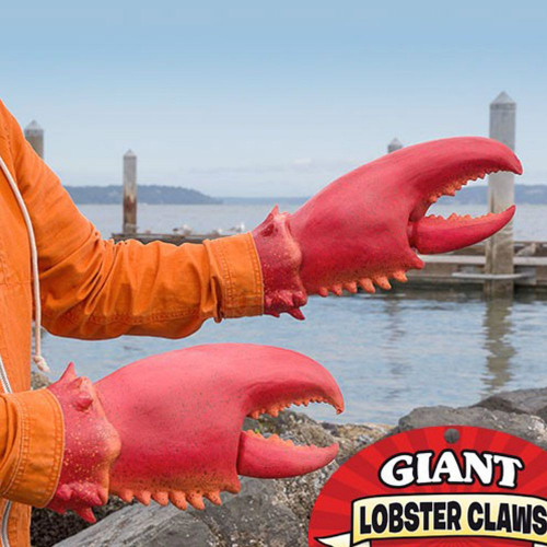 Pinces de homard géant
