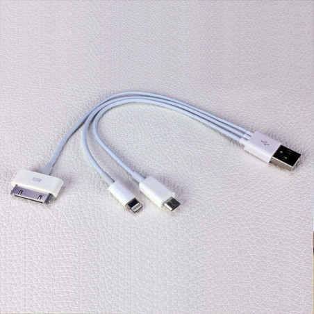 Câble USB 3 en 1