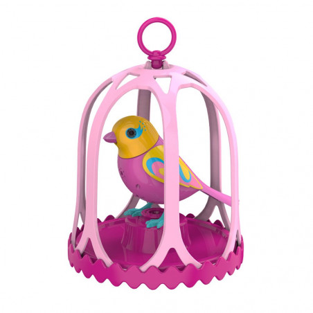 Oiseau Digibird et sa cage